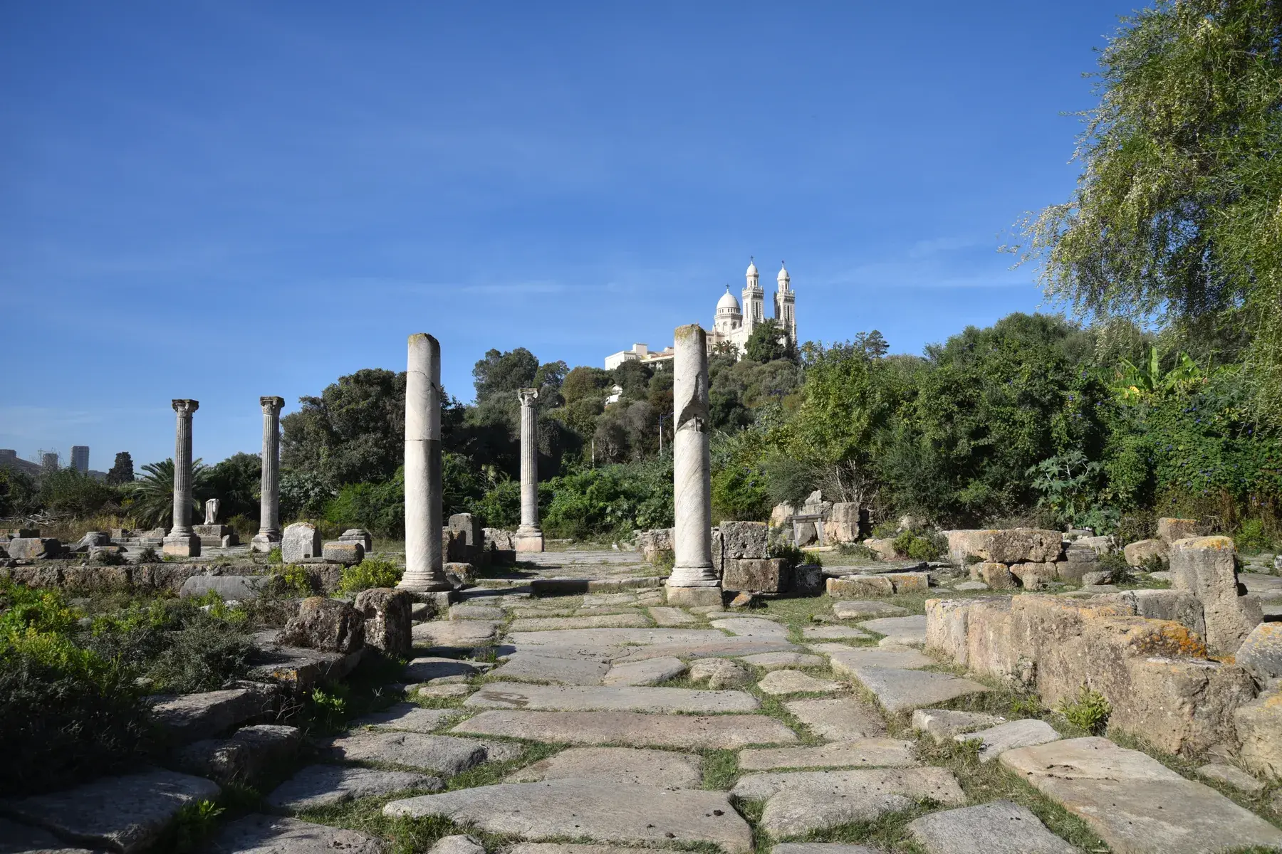 Ruinas de Hippo Regius y basílica de San Agustín al fondo
