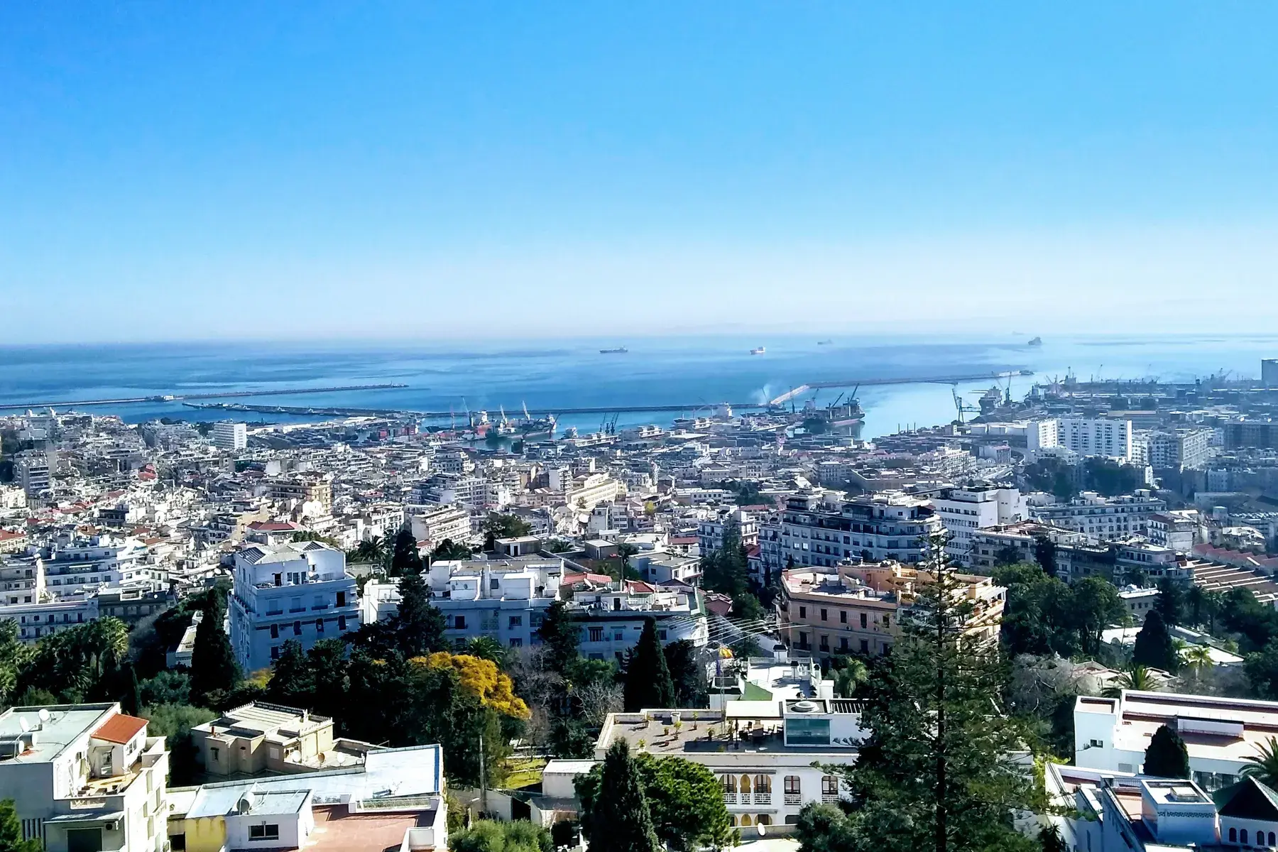 Bahía y edificios de Argel vistos desde las alturas