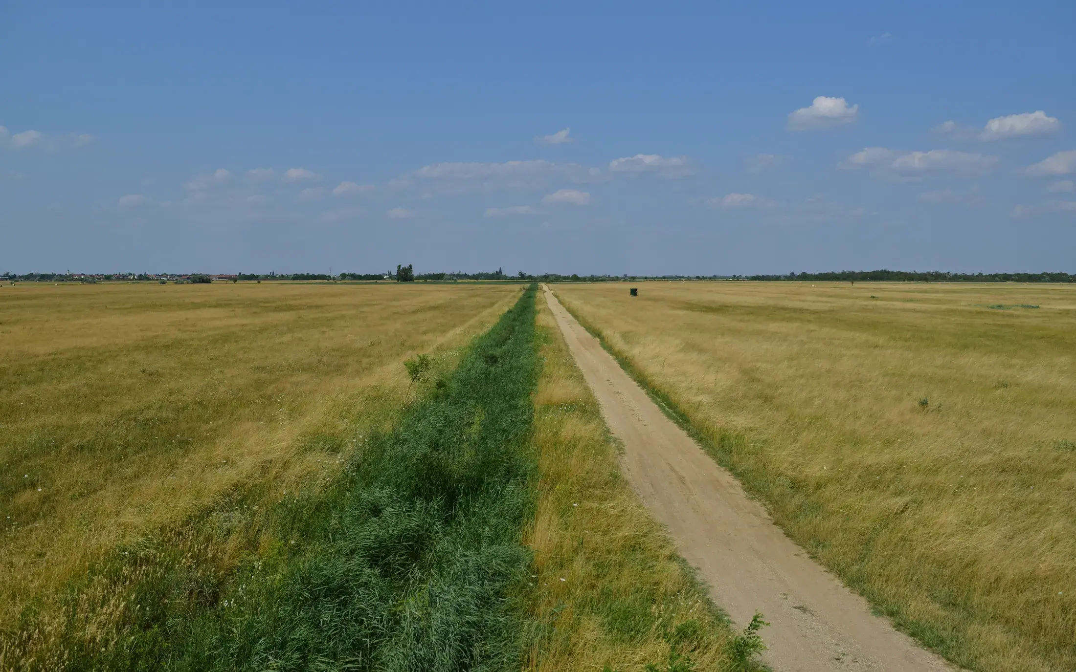 Canal y paisaje de humedal de Seewinkel en Burgenland
