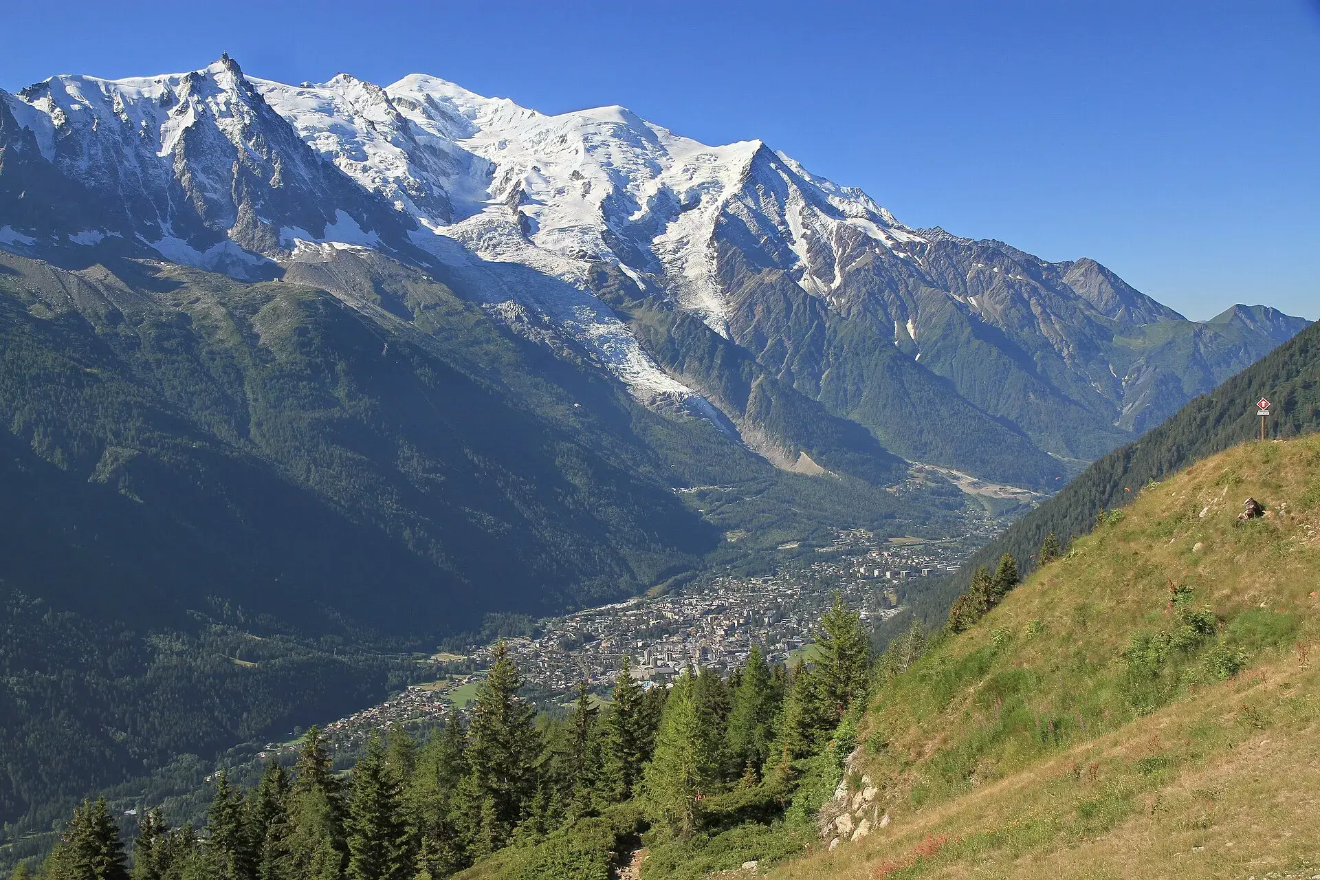 Valle de Chamonix visto desde La Flégère