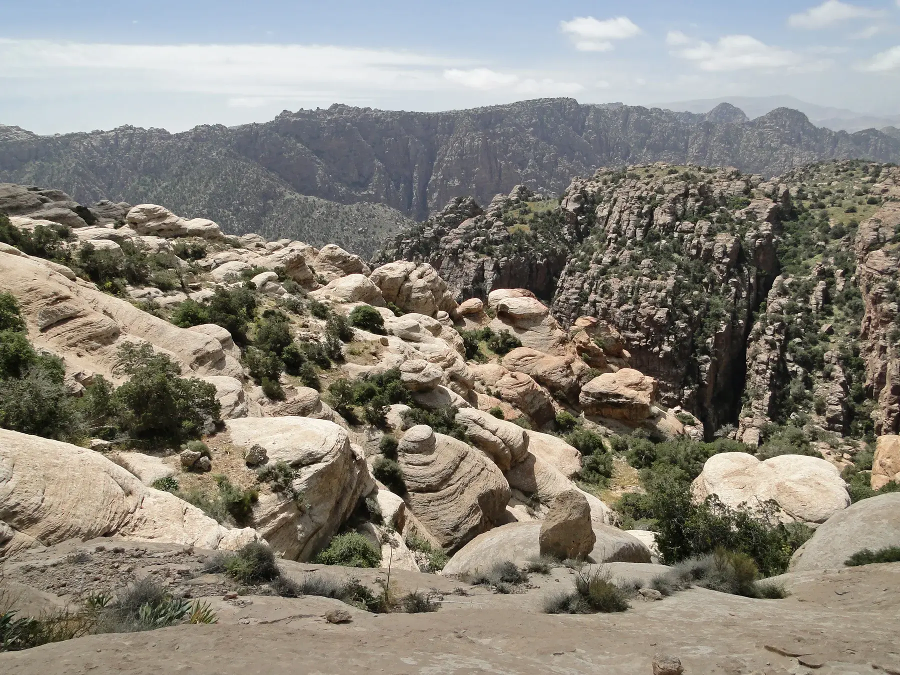 Paisaje montañoso de la reserva de Dana