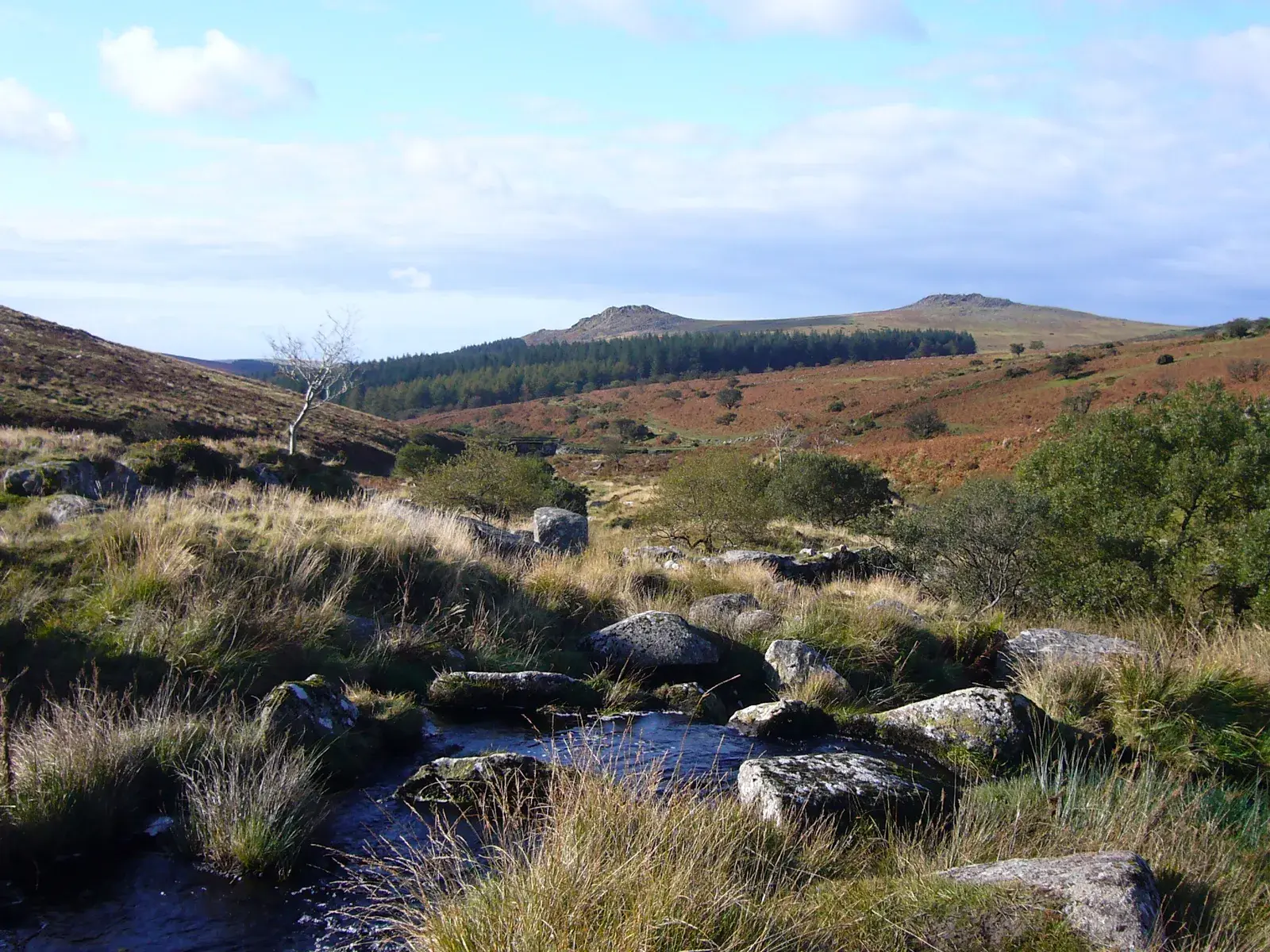Paisaje de Dartmoor en Devon