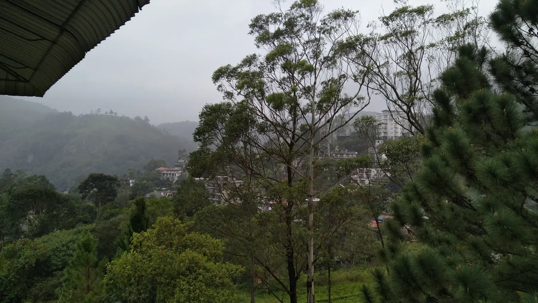 Paisaje de Ella entre colinas y vegetación