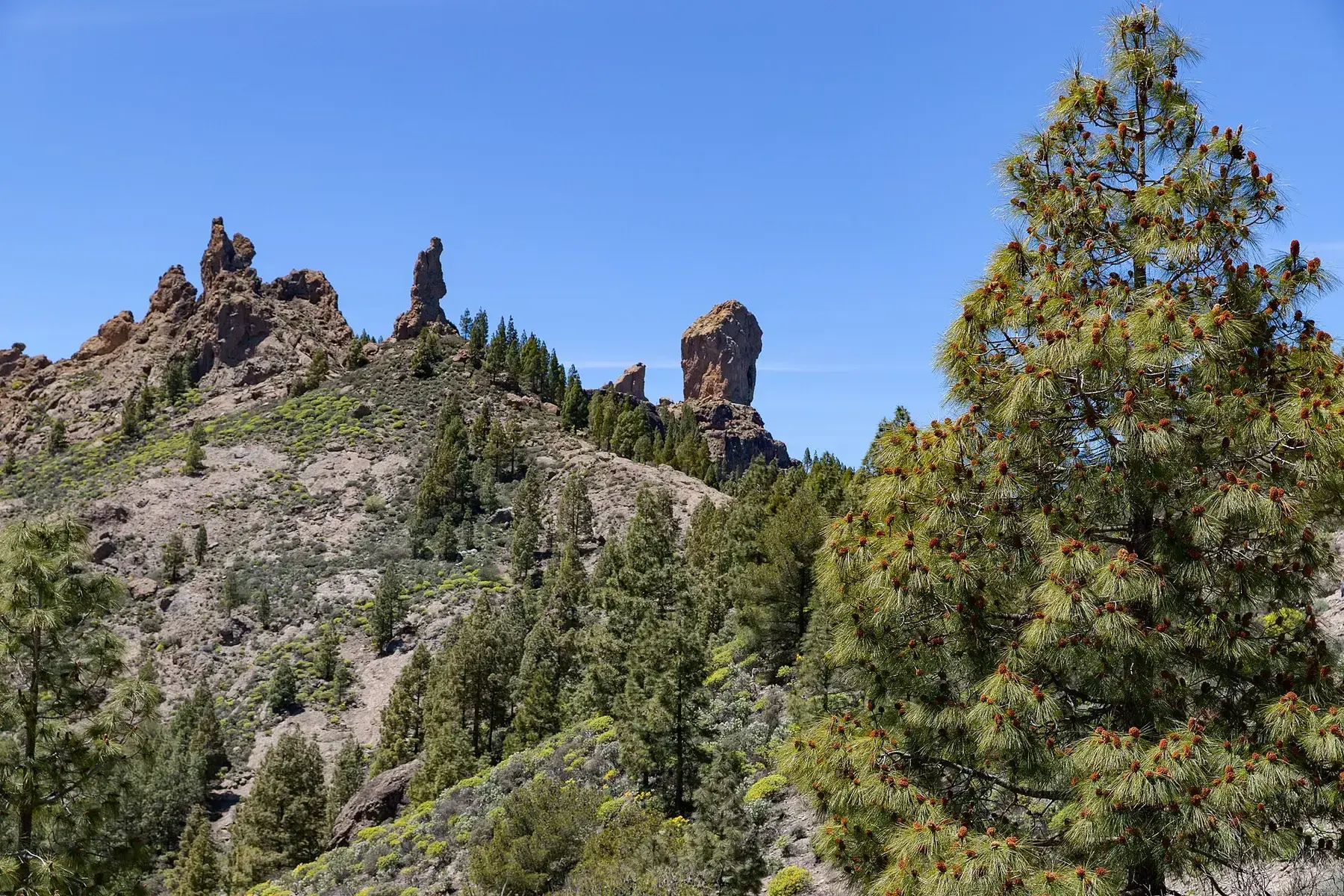 Relieve montañoso alrededor del Roque Nublo en Gran Canaria