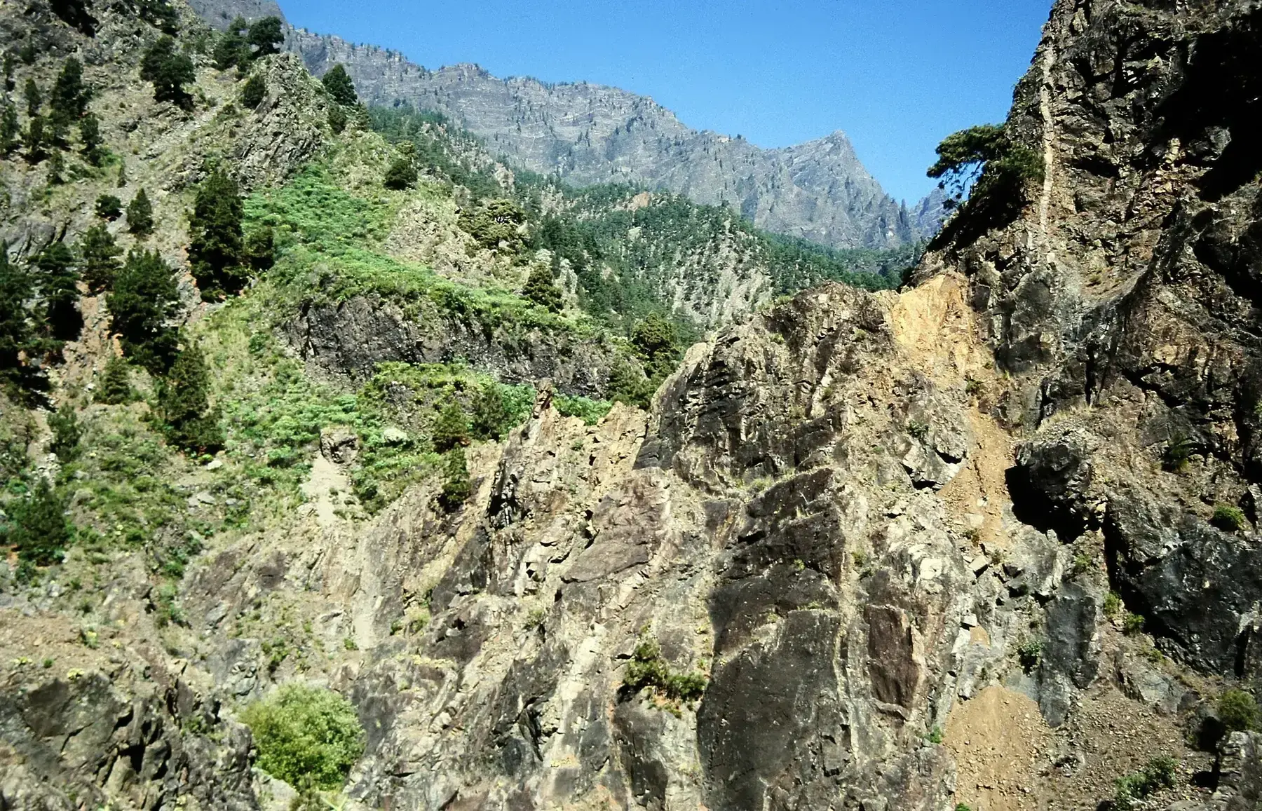 Sendero entre barrancos de la Caldera de Taburiente en La Palma