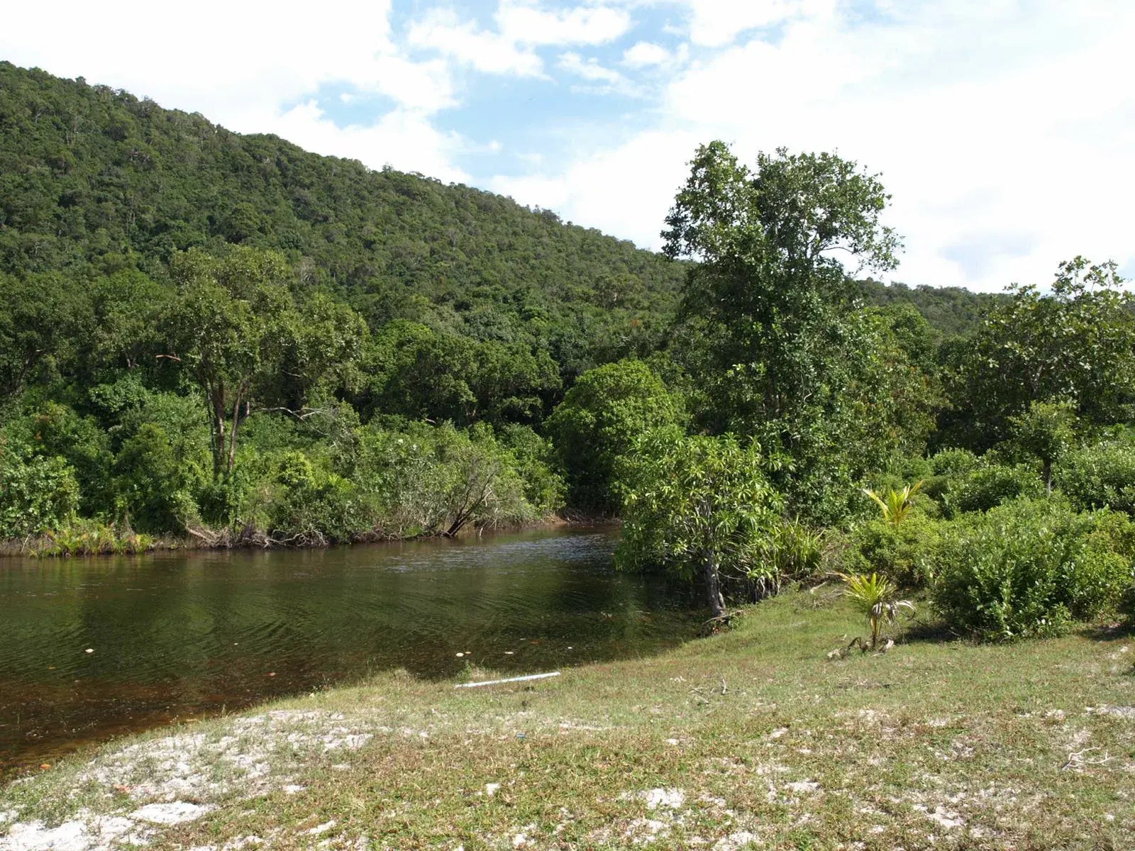 Estuario en Koh Rong Sanloem