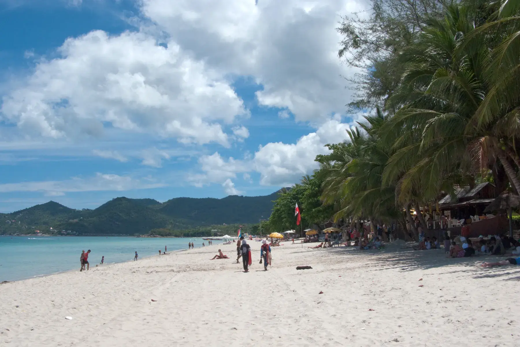 Costa de Koh Samui con palmeras y colinas al fondo