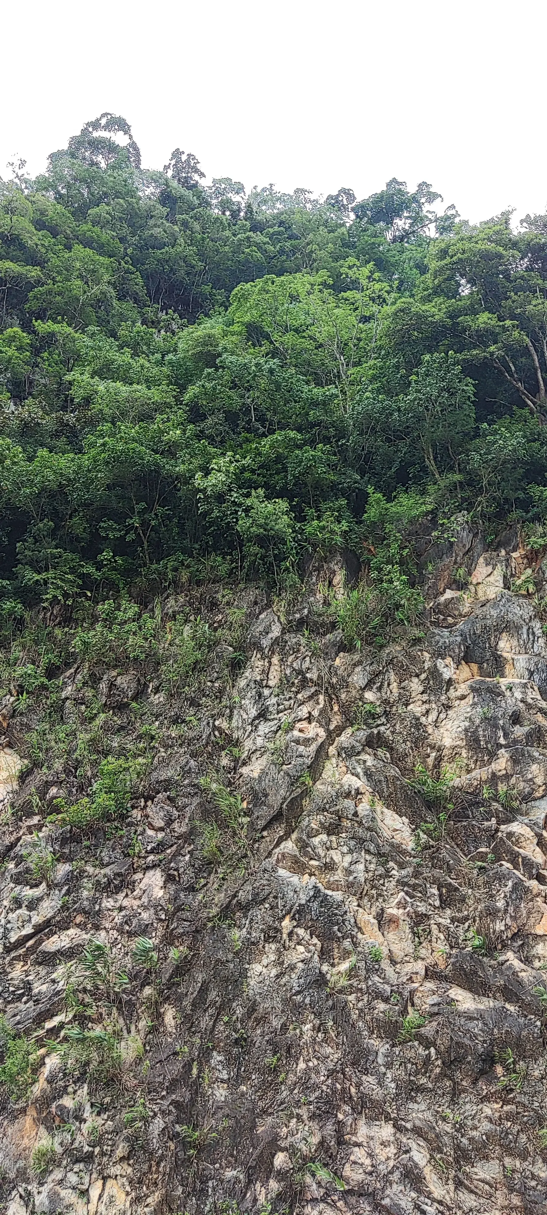 Paisaje rural junto a la carretera en Mai Chau