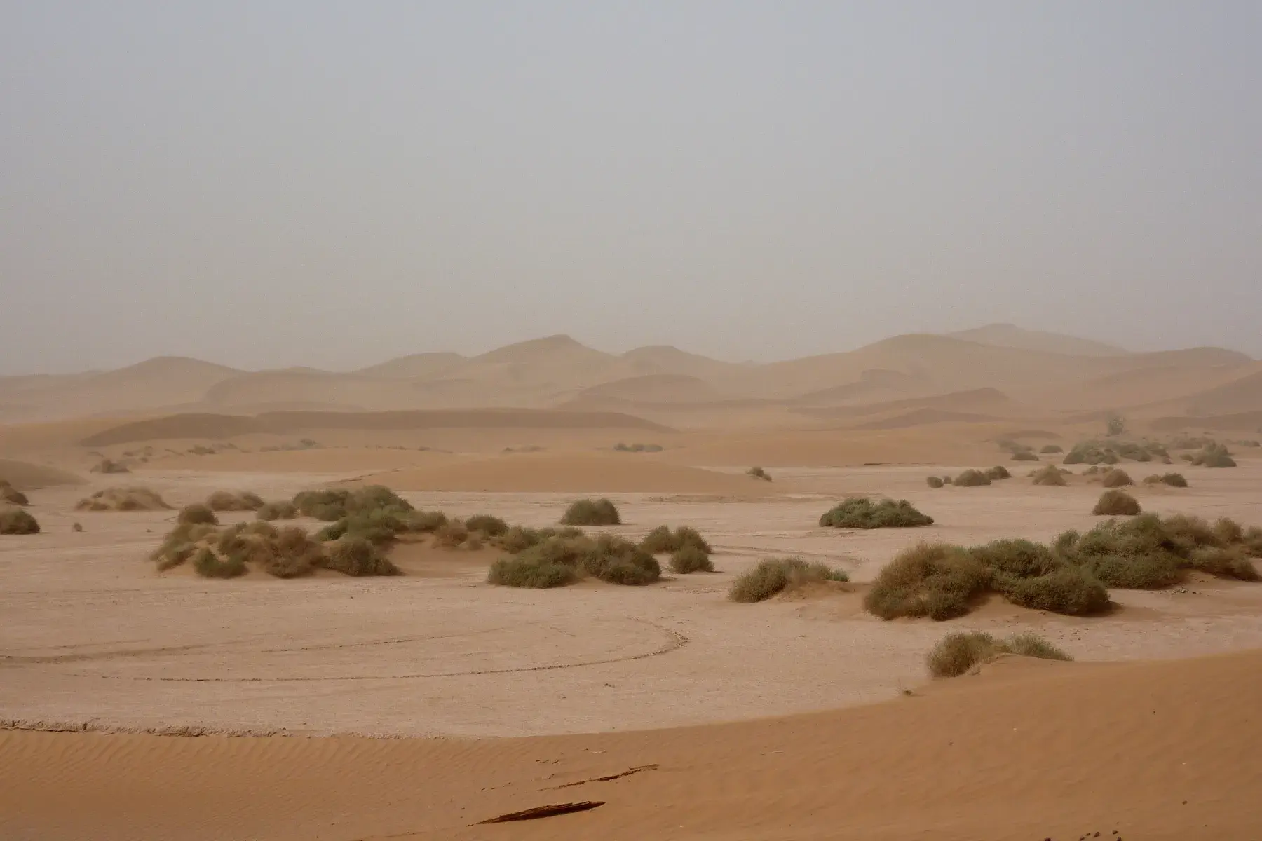 Dunas y terreno de Erg Chigaga