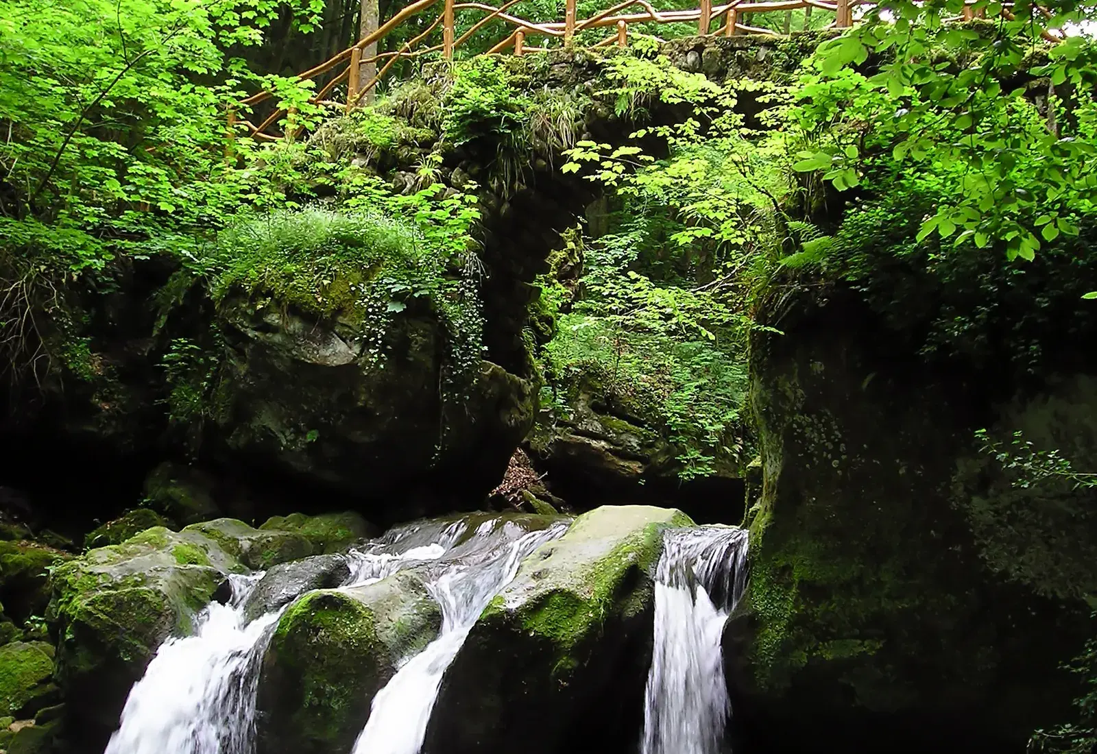 Bosque y formaciones de arenisca de Mullerthal