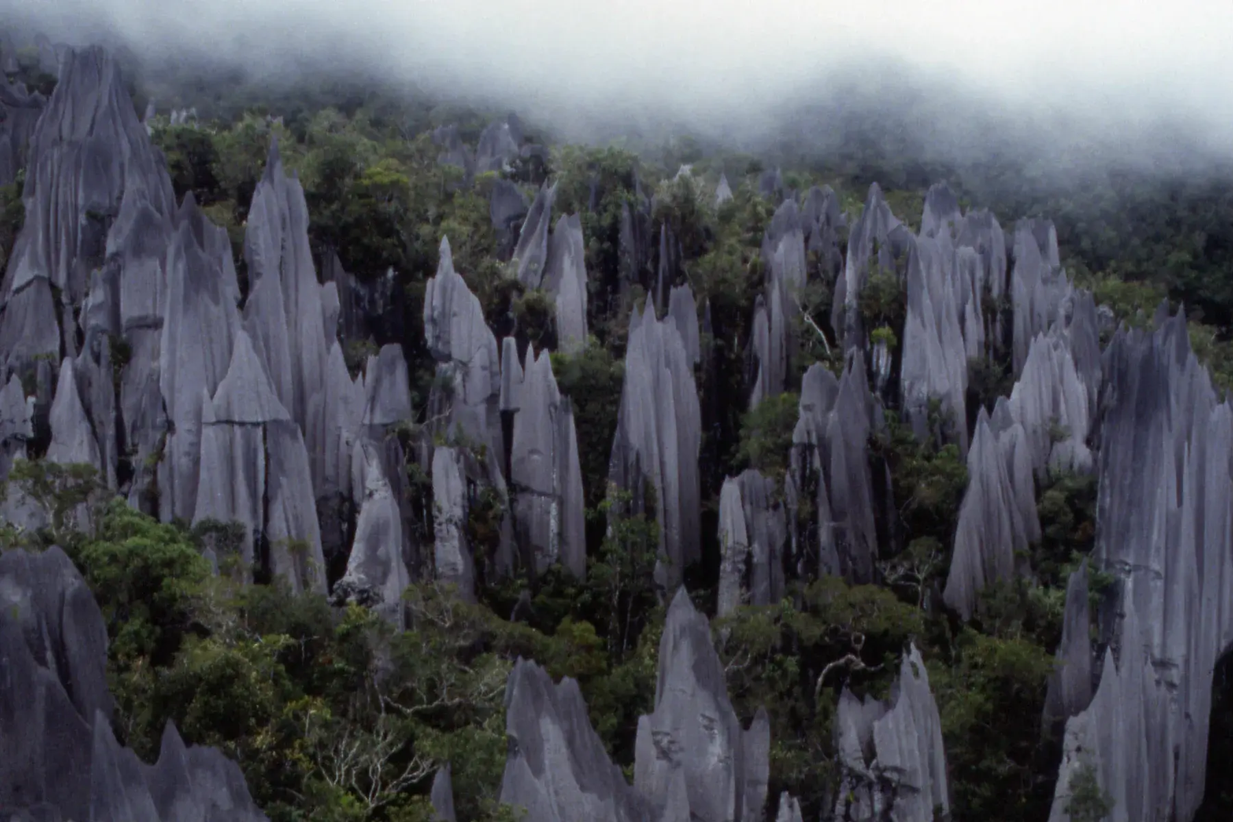 Paisaje del parque nacional de Mulu