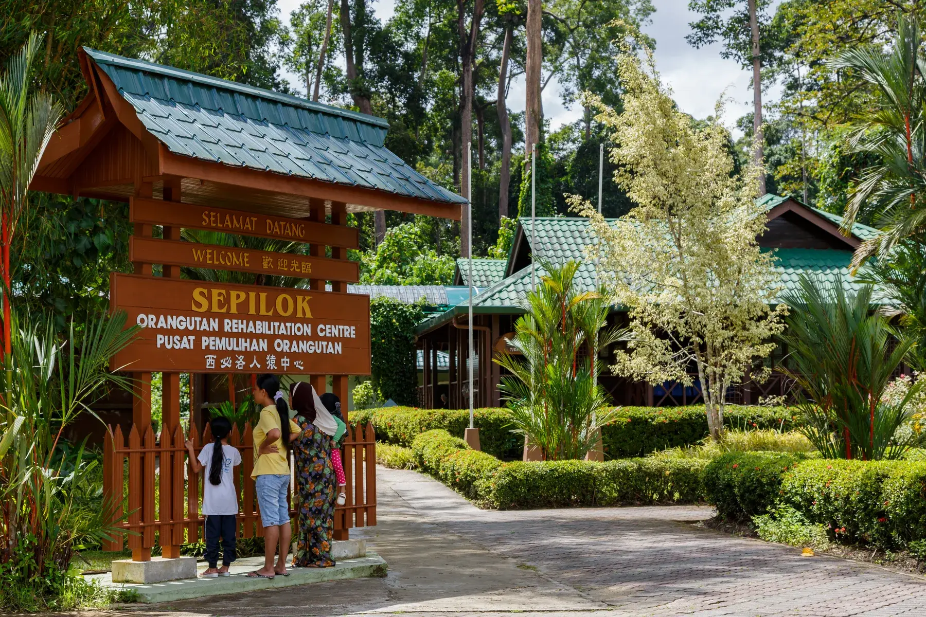 Centro de rehabilitación de orangutanes de Sepilok