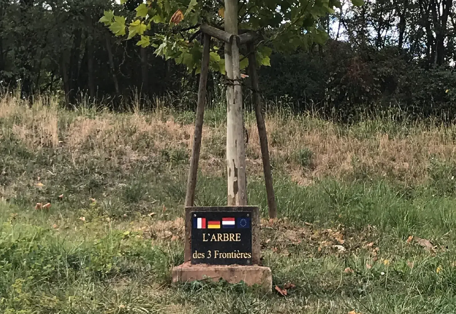 Árbol de las tres fronteras junto a Schengen, encuentro de Luxemburgo, Francia y Alemania