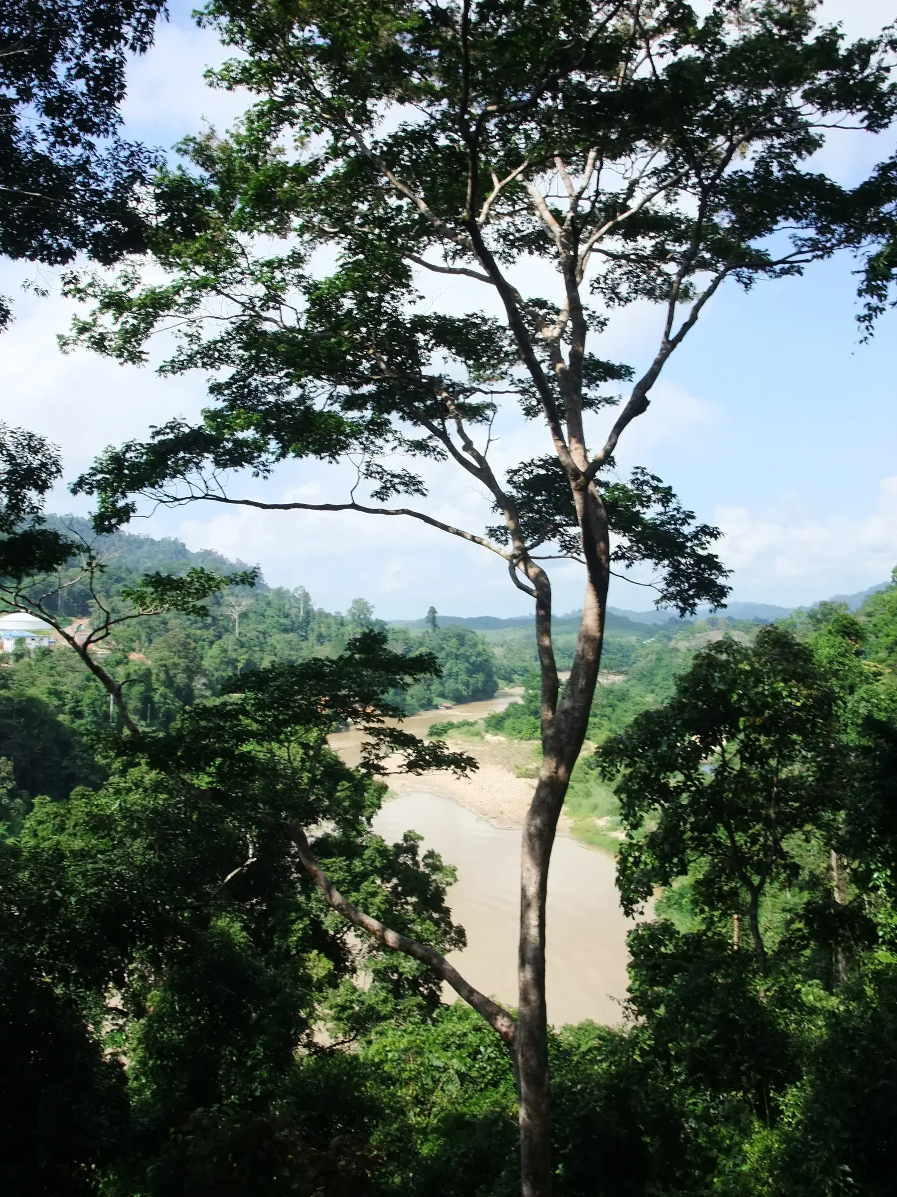 Río Tembeling junto a Taman Negara