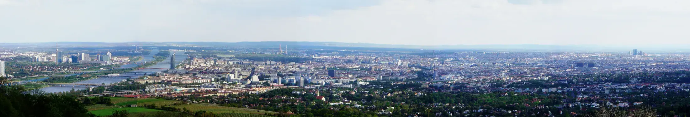 Tejados y silueta urbana del centro de Viena