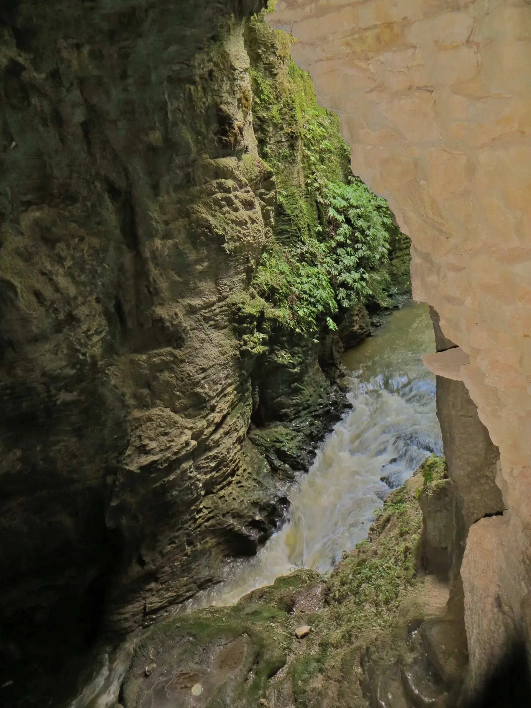 Cauce y roca en el entorno de Waitomo