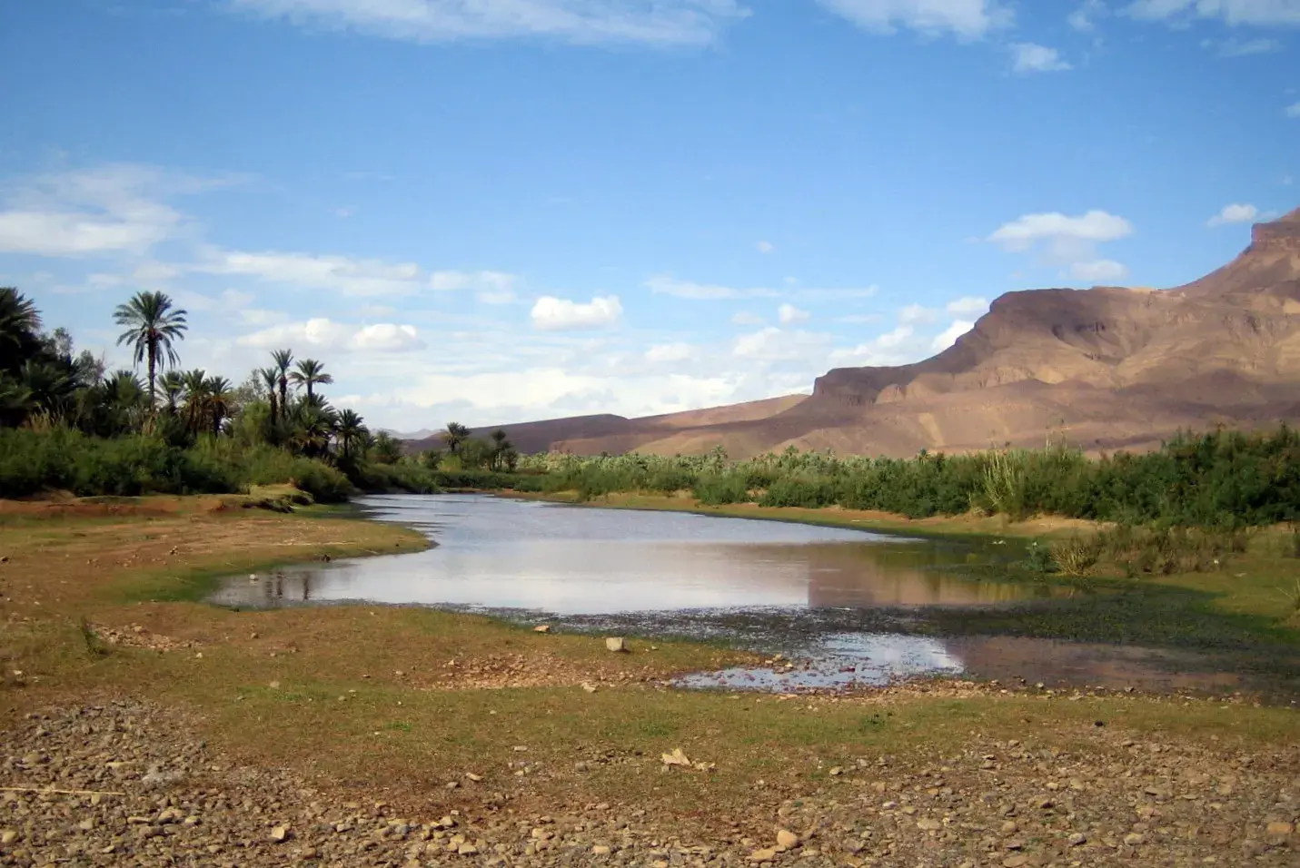 Río Draa y palmeral en el entorno de Agdz